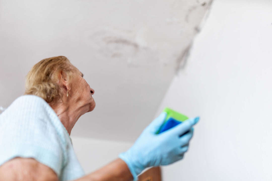 Cleaning up dangerous fungus from a wet wall after water leak Renters Insurance